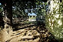 The coop beyond the shade trees.