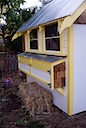 View of coop from outside chicken yard.